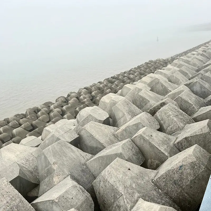 অ্যাক্রোপড ফর্মওয়ার্ক/ছাঁচ